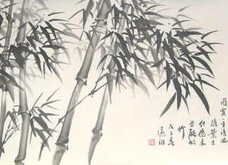 A lição do bambu chinês