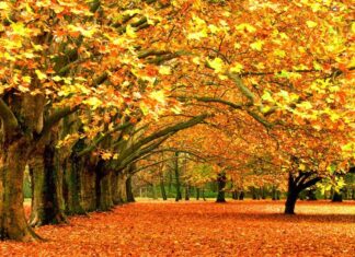 Que diferença faz uma estação