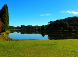 Reflexão filosófica: O sal e a dor