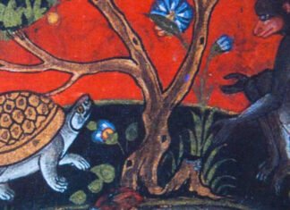 A fábula do macaco e do cágado