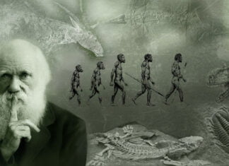 4 – Darwin, Gênesis, Paraíso, Teologia x Ciência, evolução, dilúvio, leis mosaicas, livros apócrifos