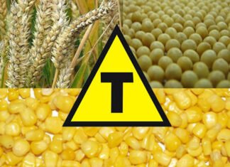 TRANSGÊNICOS – Alerta aos senadores