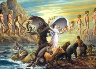 REENCARNAÇÃO – Realidade insofismável da lei divina