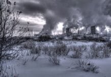 Inverno Nuclear, por Paul Ehrlich (1985)