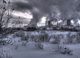 Inverno Nuclear, por Paul Ehrlich (1985)